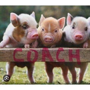 🐷 Coach 🐷